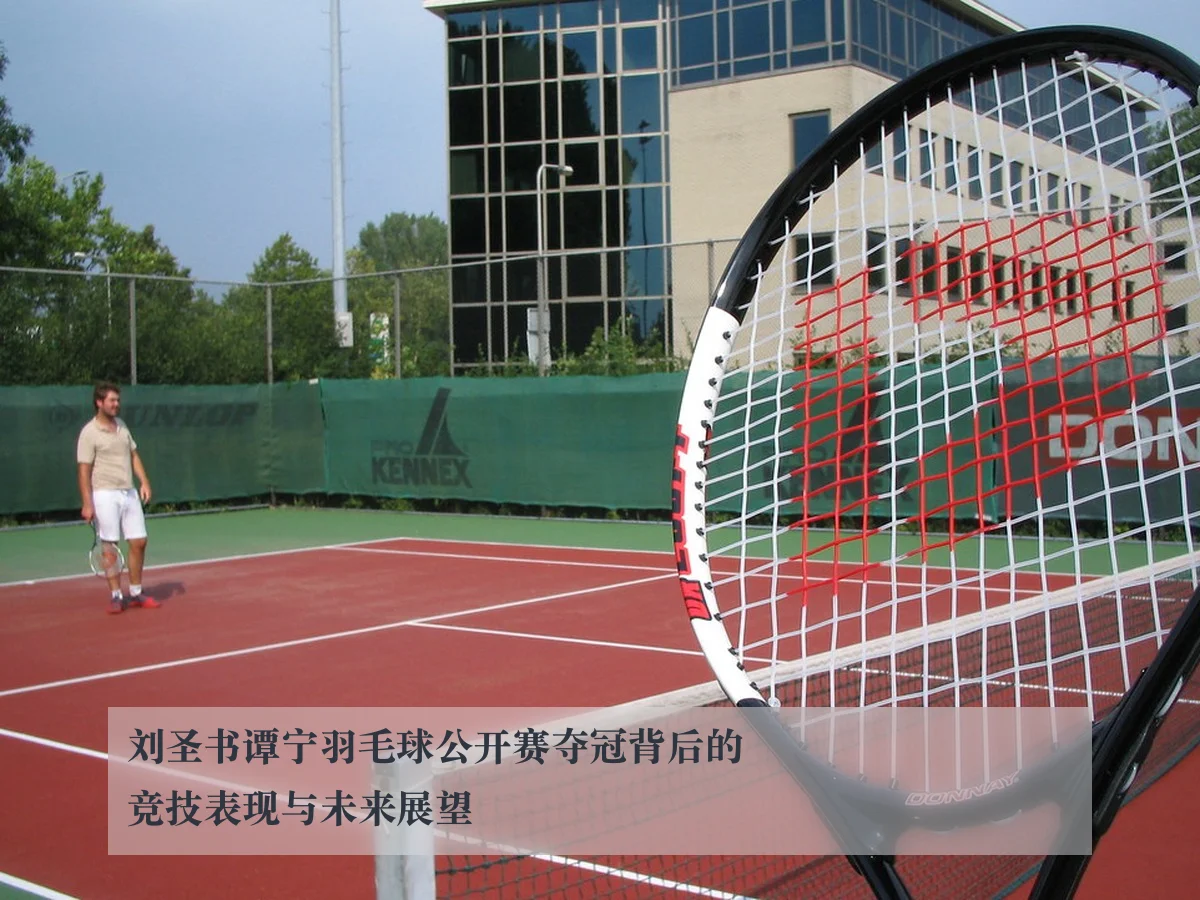 刘圣书谭宁羽毛球公开赛夺冠背后的竞技表现与未来展望